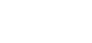 Google Partner