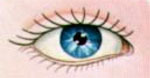 Applicazione del mascara